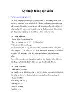 Kỹ thuật trồng lạc xuân