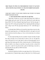 THỰC TRẠNG VỀ CÔNG TÁC THẨM ĐỊNH DỰ ÁN ĐẦU TƯ TẠI NGÂN HÀNG THƯƠNG MẠI CỔ PHẦN CÁC DOANH NGHIỆP NGOÀI QUỐC DOANH