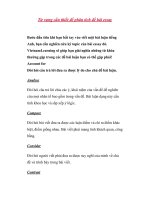 Từ vựng cần thiết để phân tích đề bài essay