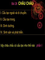 tiết 27 : Châu chấu