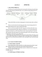 GIÁO TRÌNH MÔN CHƯƠNG TRÌNH DỊCH PHẦN 5