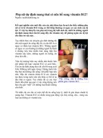 Phụ nữ dự định mang thai có nên bổ sung vitamin B12?