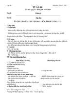 giáo án tuần 10 năm học 2010-2011