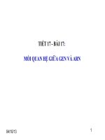 Mối quan hệ giữa Gen và ARN