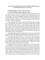 Thực trạng hoạt động kinh doanh và quá trình thực hiện chiến lược kinh doanh của Công ty Cao su sao vàng