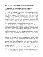 Thực trạng công tác Dân số-KHHGĐ huyện Bảo Yên tỉnh Lào Cai