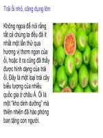 tự làm nước giải khát (ổi) và nem rau