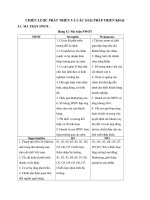 CHIẾN LƯỢC PHÁT TRIỂN VÀ CÁC GIẢI PHÁP TRIỂN KHAI