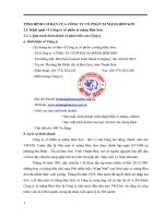 TÌNH HÌNH CƠ BẢN CỦA CÔNG TY CỔ PHẦN XI MĂNG BỈM SƠN