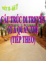 bài 18 cau truc DT-thao giang