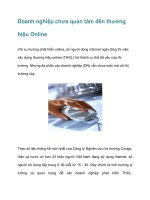 Doanh nghiệp chưa quan tâm đến thương hiệu Online