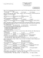 Đề mẫu HK I Hóa 12_4