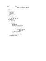 mau giao an bai viet