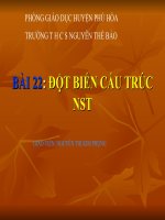 BÀI 22: Đột biến cấu trúc NST