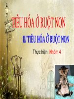 tieu hoa o ruot non II