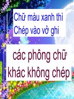 tiet 30 - phuong trinh bac nhat hai an