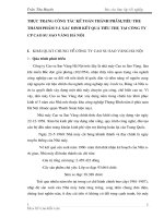 THỰC TRẠNG CÔNG TÁC KẾ TOÁN THÀNH PHẨM,TIÊU THỤ THÀNH PHẨM VÀ XÁC ĐỊNH KẾT QUẢ TIÊU THỤ TẠI CÔNG TY CP CAO SU SAO VÀNG HÀ NỘI