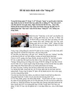 Đề thi kích thích sinh viên bùng nổ