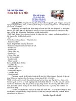 Ô ăn quan-Rồng rắn lên mây