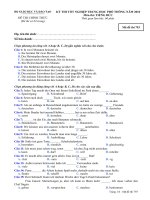 Đề thi chính thức kỳ thi tốt nghiệp THPT 2010 môn tiếng Đức (Mã đề thi 793)