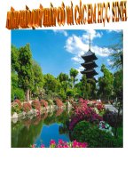 tiet 49, 50: Bài thơ về tiểu đội xe không kính