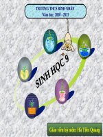 Tiết 25. Đột biến cấu trúc NST (tiếp)