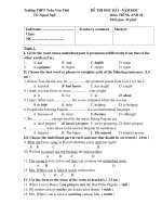 KIEM TRA HKI TIENG ANH 10