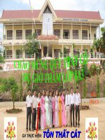 HÌNH CHỮ NHẬT - CÁT GN