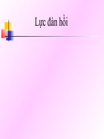 ly 6 bai luc dan hoi