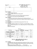 de dap an ma tran de thi tin 8