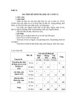 Ma trận đề thi HK1 môn Toán 12. Năm Học 2010-2011