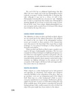 Light—Science & Magic- P6