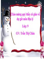 tiết 23 VÙNG ĐỒNG BẰNG SÔNG HỒNG