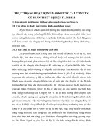 THỰC TRẠNG HOẠT ĐỘNG MARKETING TẠI CÔNG TY CỔ PHẦN THIẾT BỊ ĐIỆN TAM KIM