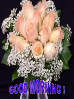 ANH VĂN DỰ THI GVDG