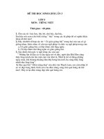 Đề thi HSG  khối 4-5