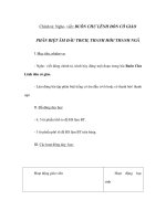 Chính tả - Nghe, viết - BUÔN CHƯ LÊNH ĐÓN CÔ GIÁO - PHÂN BIỆT ÂM ĐẦU TR/CH, THANH HỎI/ THANH NGÃ