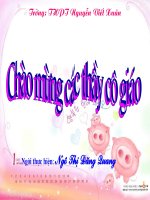 tiet 13: anh huong cua moi truong len su bieu hien cua gen