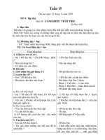 giáo án lớp 4- tuần 15- chuẩn KTKN+BVMT+TCTV