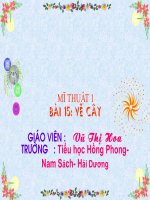 MT1- Bài 15: Vẽ cây