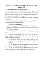 TỔNG QUAN VỀ CÔNG TY CỔ PHẦN DỊCH VỤ VÀ VIỄN THÔNG HTI