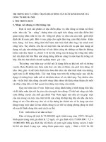 THỊ TRƯỜNG RƯỢU VÀ THỰC TRẠNG HOẠT ĐỘNG SẢN XUẤT KINH DOANH CỦA CÔNG TY RƯỢU HÀ NỘI