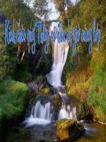 cong nghiep silicat Nc 11