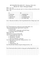 Đề thi Sử - Địa 4 HK 1 10 -11