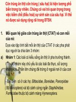 bai: côn trùng ăn thịt