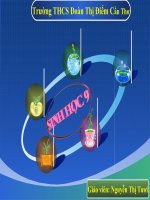 Bài 28 Phương pháp nghiên cứu di truyền người