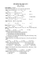 DE THI HOC KY I LOP 8