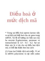 Điều hoà ở mức dịch mã