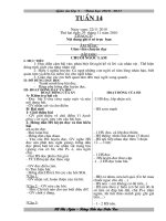 GIÁO ÁN TUẦN 14 LỚP 5(CKTKN)