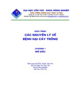 bệnh hại cây trồng bài mở đầu